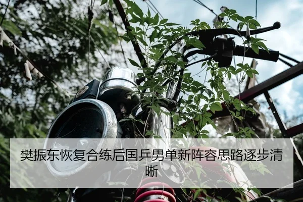 樊振东恢复合练后国乒男单新阵容思路逐步清晰